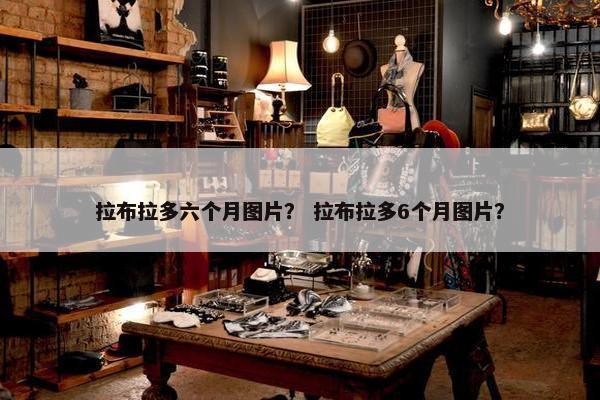 拉布拉多六个月图片？ 拉布拉多6个月图片？