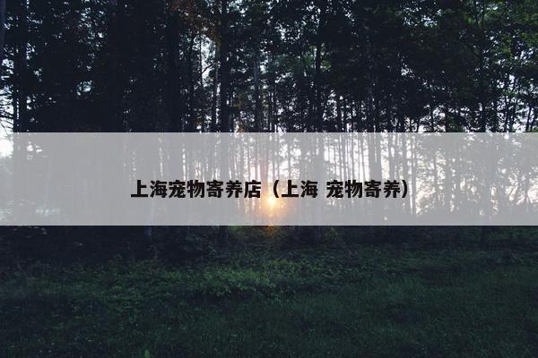 上海宠物寄养店（上海 宠物寄养）