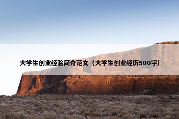 大学生创业经验简介范文（大学生创业经历500字）