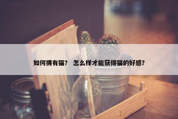 如何拥有猫？ 怎么样才能获得猫的好感？