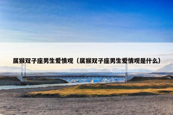 属猴双子座男生爱情观（属猴双子座男生爱情观是什么）