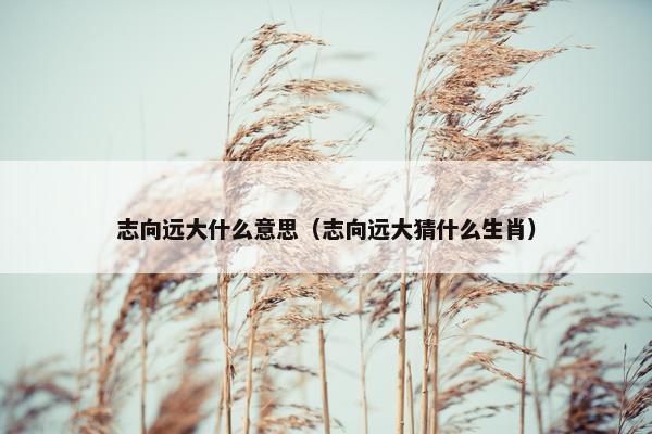 志向远大什么意思（志向远大猜什么生肖）