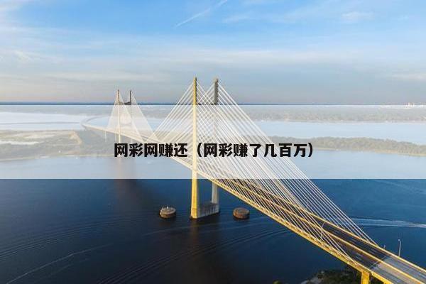 网彩网赚还（网彩赚了几百万）