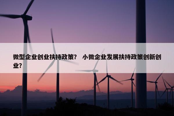 微型企业创业扶持政策？ 小微企业发展扶持政策创新创业？