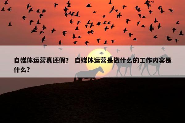 自媒体运营真还假？ 自媒体运营是做什么的工作内容是什么？