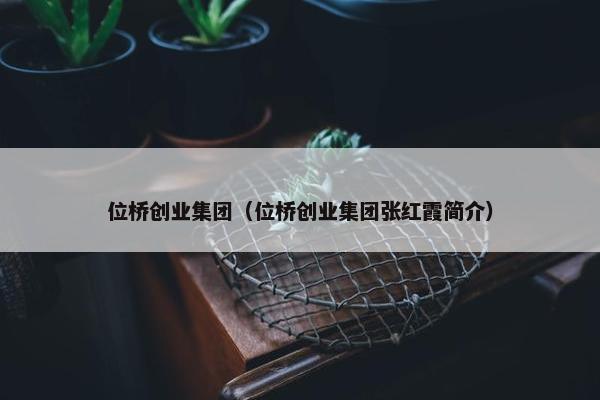 位桥创业集团(位桥创业集团张红霞简介)