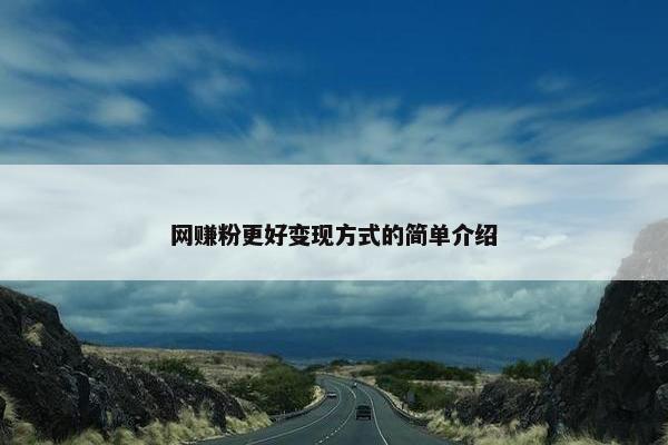 网赚粉更好变现方式的简单介绍