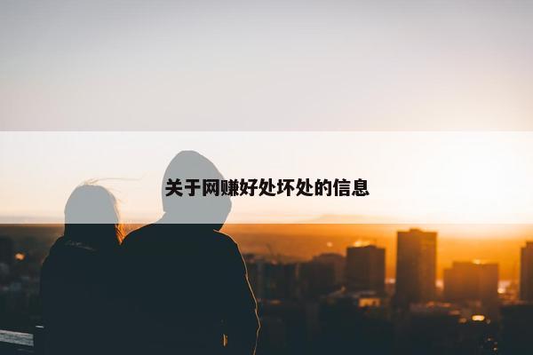 关于网赚好处坏处的信息