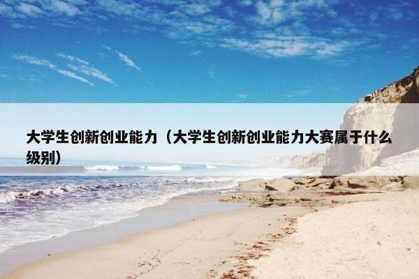 大学生创新创业能力（大学生创新创业能力大赛属于什么级别）