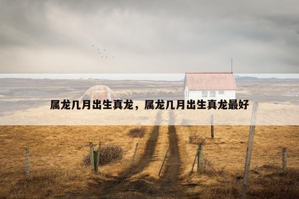 属龙几月出生真龙，属龙几月出生真龙最好