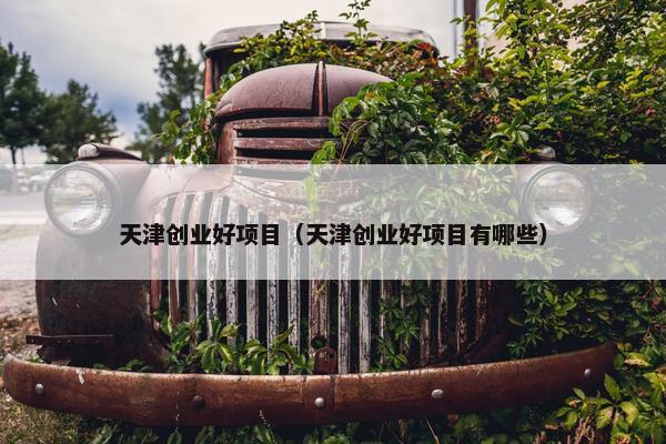 天津创业好项目（天津创业好项目有哪些）