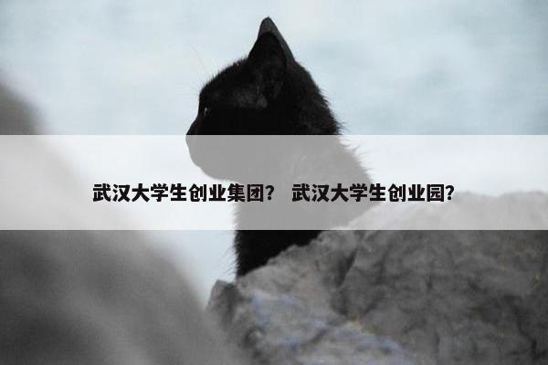 武汉大学生创业集团？ 武汉大学生创业园？