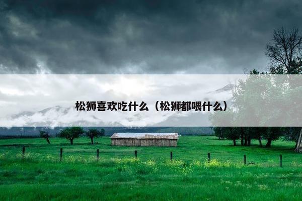 松狮喜欢吃什么（松狮都喂什么）