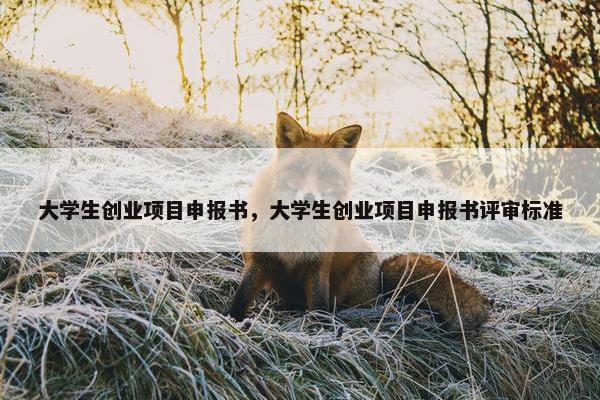 大学生创业项目申报书,大学生创业项目申报书评审标准 大学生创业项目申报书,大学生创业项目申报书评审标准