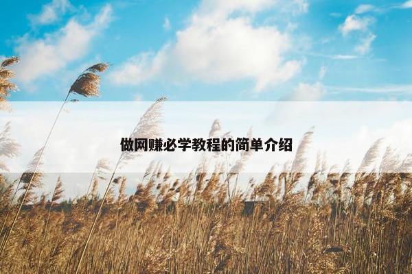 做网赚必学教程的简单介绍