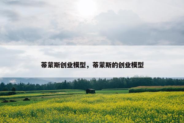 蒂蒙斯创业模型,蒂蒙斯的创业模型 蒂蒙斯创业模型,蒂蒙斯的创业模型