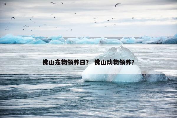 佛山宠物领养日？ 佛山动物领养？