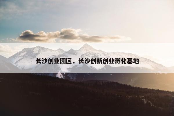 长沙创业园区,长沙创新创业孵化基地