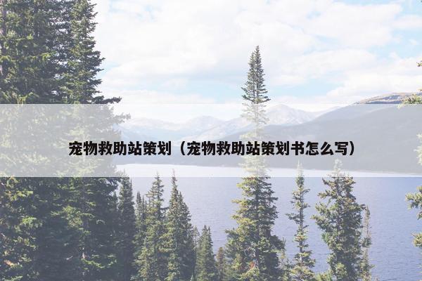 宠物救助站策划（宠物救助站策划书怎么写）