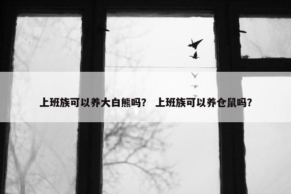 上班族可以养大白熊吗？ 上班族可以养仓鼠吗？