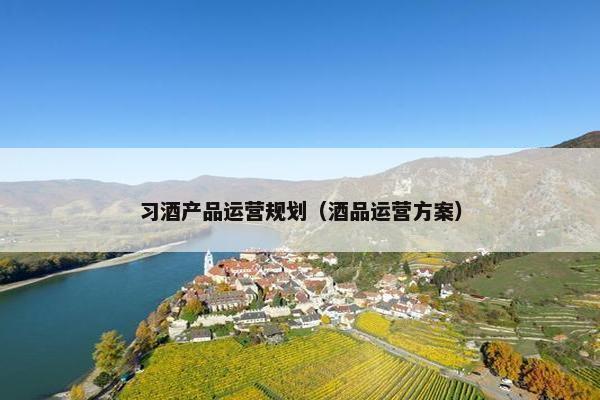 习酒产品运营规划（酒品运营方案）