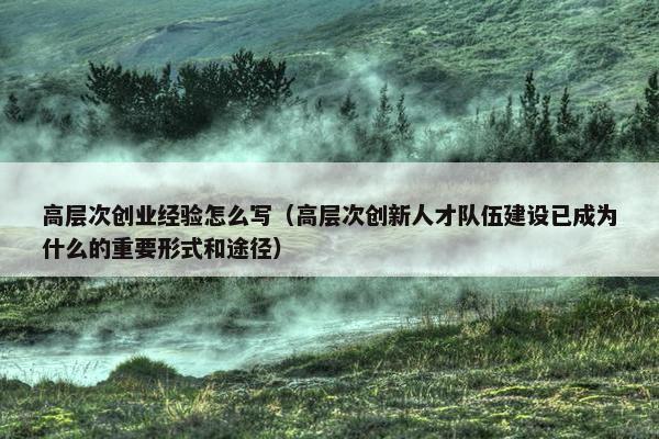 高层次创业经验怎么写（高层次创新人才队伍建设已成为什么的重要形式和途径）