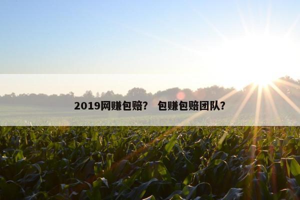 2019网赚包赔？ 包赚包赔团队？