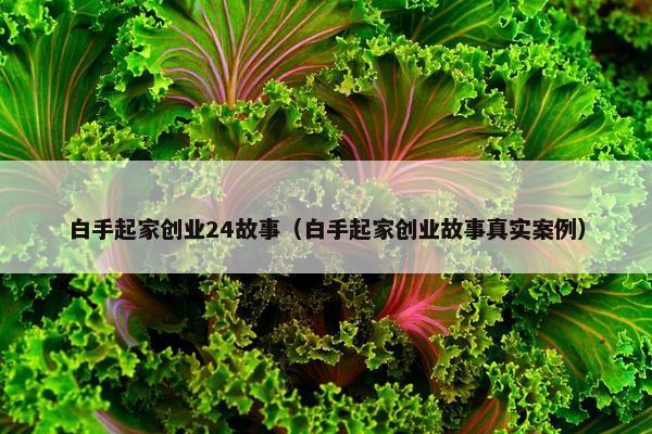 白手起家创业24故事（白手起家创业故事真实案例）
