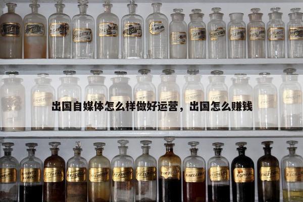 出国自媒体怎么样做好运营，出国怎么赚钱