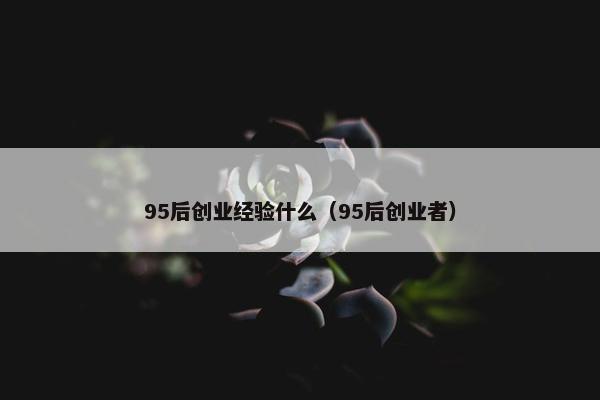 95后创业经验什么（95后创业者）