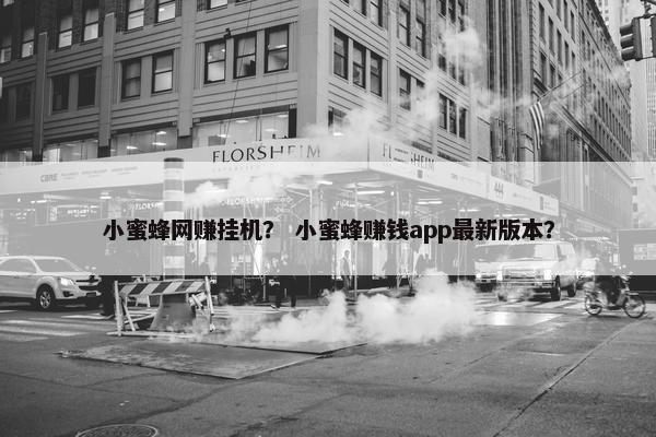 小蜜蜂网赚挂机？ 小蜜蜂赚钱app最新版本？