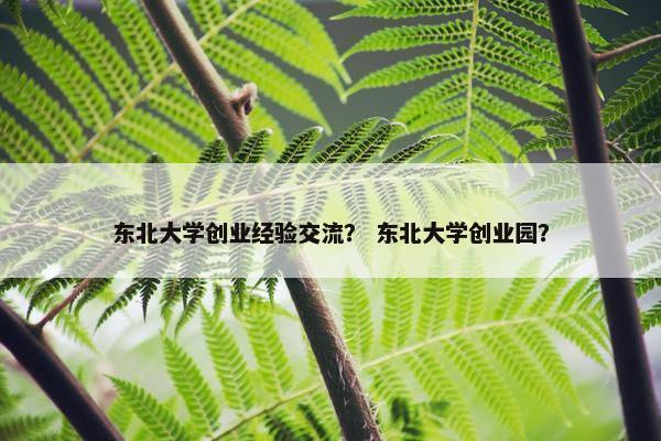 东北大学创业经验交流？ 东北大学创业园？