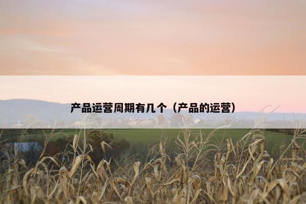 产品运营周期有几个（产品的运营）