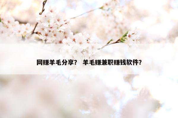 网赚羊毛分享？ 羊毛赚兼职赚钱软件？