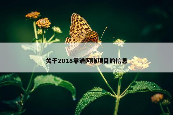 关于2018靠谱网赚项目的信息