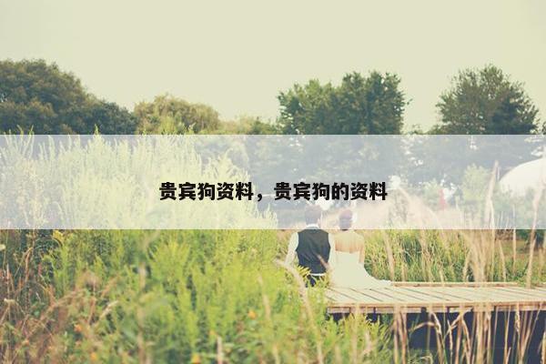 贵宾狗资料，贵宾狗的资料