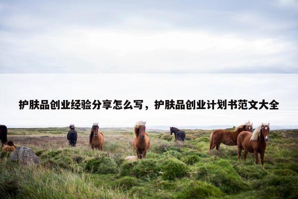 护肤品创业经验分享怎么写,护肤品创业计划书范文大全