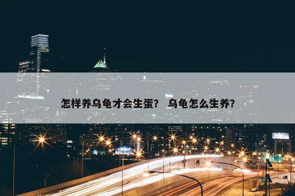 怎样养乌龟才会生蛋? 乌龟怎么生养?