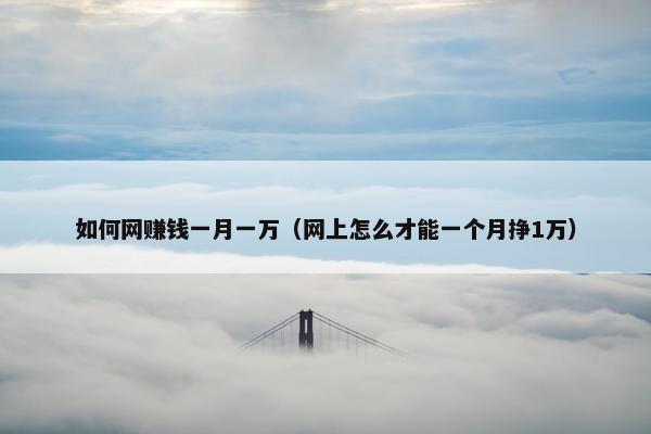 如何网赚钱一月一万（网上怎么才能一个月挣1万）