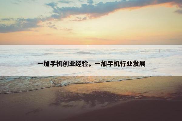 一加手机创业经验,一加手机行业发展 一加手机创业经验,一加手机行业发展