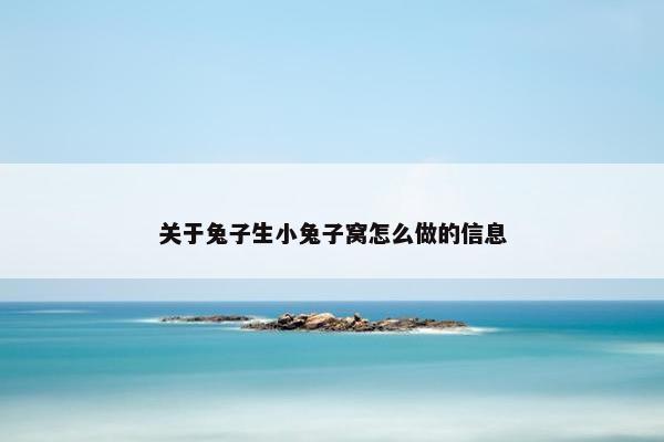 关于兔子生小兔子窝怎么做的信息