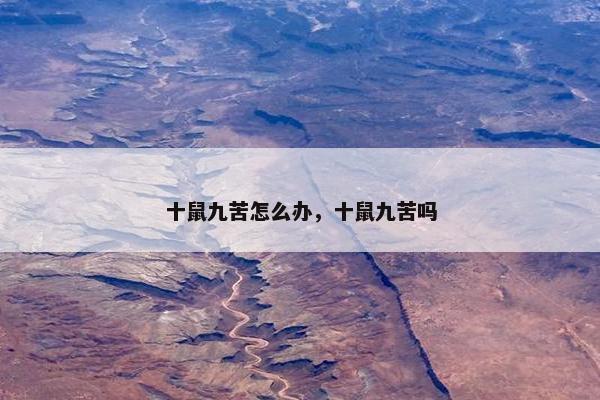 十鼠九苦怎么办,十鼠九苦吗