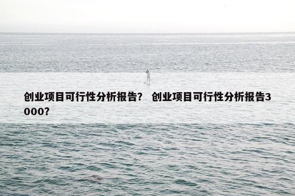 创业项目可行性分析报告？ 创业项目可行性分析报告3000？