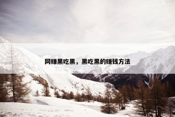 网赚黑吃黑，黑吃黑的赚钱方法