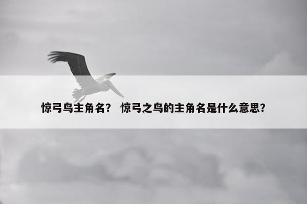 惊弓鸟主角名? 惊弓之鸟的主角名是什么意思?