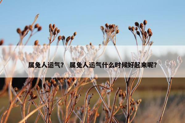 属兔人运气？ 属兔人运气什么时候好起来呢？