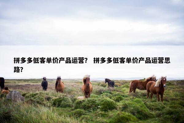 拼多多低客单价产品运营？ 拼多多低客单价产品运营思路？