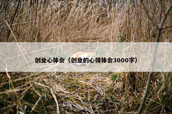创业心体会（创业的心得体会3000字）