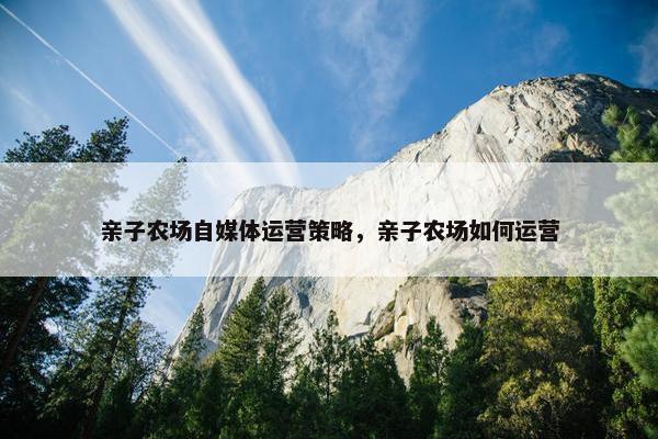 亲子农场自媒体运营策略,亲子农场如何运营