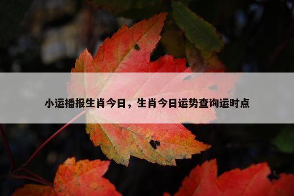 小运播报生肖今日,生肖今日运势查询运时点 小运播报生肖今日,生肖今日运势查询运时点